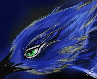 Blue Jay By Toxicunique Dcj Wallpaper Full HD