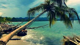 Source Url WallpaperHD Be FullHD Desktopwallpaper Image