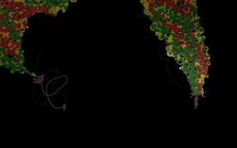 Cool Rasta Desktop Background Abstract Wallpaper