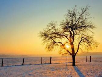 Image Nature HD Desktop Wallpaper X Pc Android
