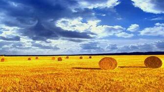 Hay Bales Wallpaper