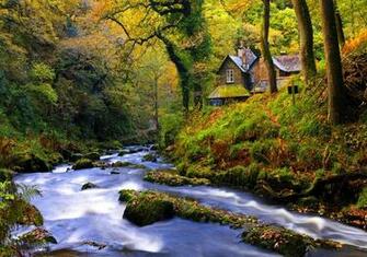 Forest Cottages