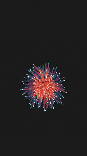 Ar72014 iPhone Se Flower Wallpaper For Png