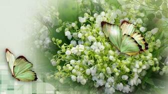 Lily Of The Valley Wallpaper