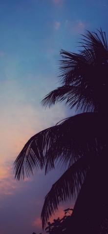 Chill Aesthetic HD Wallpaper Desktop