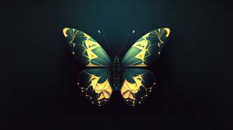 Butterfly Wallpaper Desktop