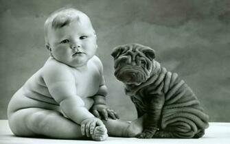 HD Anne Geddes Cute Baby Wallpaper Car Pictures