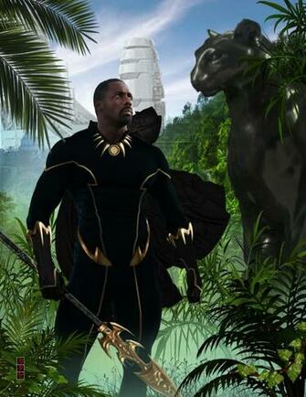 The Black Panther By Katase6626