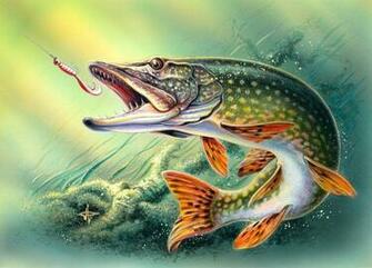 Musky Desktop Wallpaper Px Rhmlzs7 Picserio