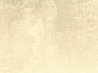Findgraphics Wallpaper Background Cream Htm