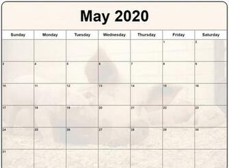 Cute May Calendar Floral Wall Design