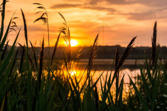 Beautiful Sunshine Wallpaper