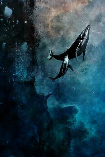 Flying Whales By Axcy