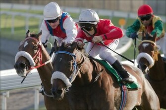 Brown Horse Racing Wallpaper Fast