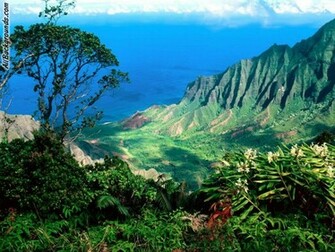 Hawaii Background Myspace