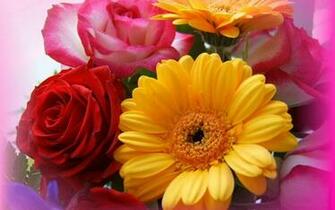 Different Types Of Flowers Wallpaper