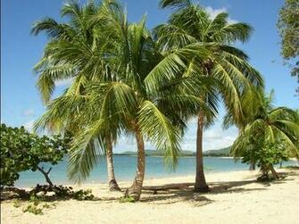 Vieques Puerto Rico Wallpaper Beach