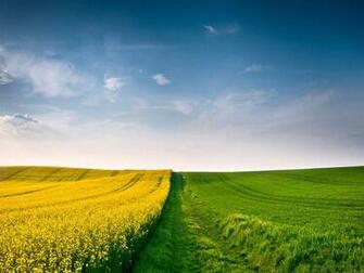 Wallpaper Fair Summer Season Best Quality Screen