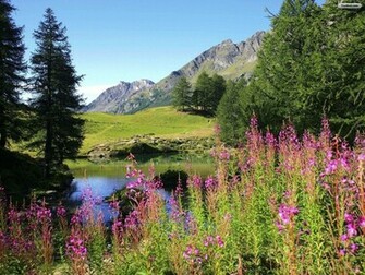 Spring Background
