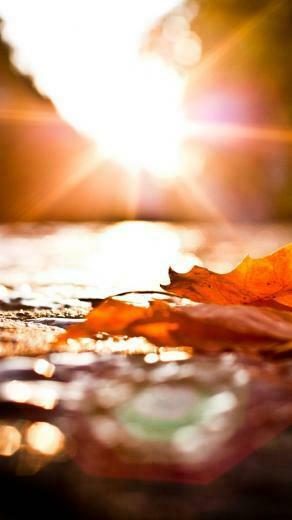 Theme iPhone Inches Type Wallpaper For N