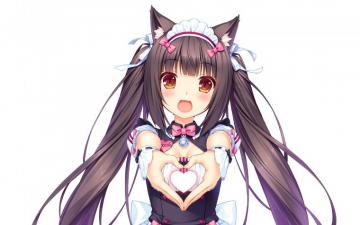 Chocolat Neko Para White Background Anime Girls