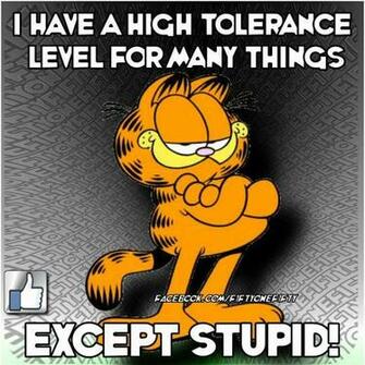 Funny Garfield Quotes