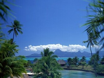 Wallpaper Pc Computer Tropical Summer
