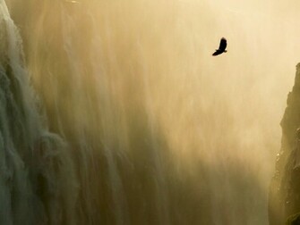 Mac Os Wallpaper