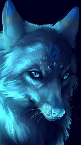 Anime Wolf Wallpaper On