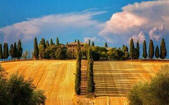 Tuscany Prairie Landscape Theme Wallpaper