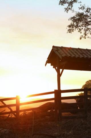 Farm Gate Pictures Image