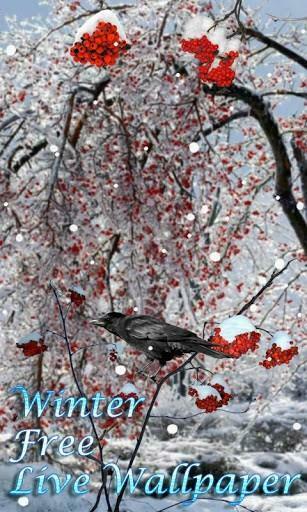 Bigger Winter Live Wallpaper For Android Screenshot