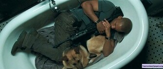 Am Legend Wallpaper Moallpapers Org