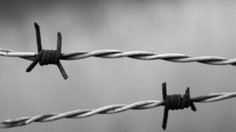 HD Barb Wire Wallpaper HDwallsource
