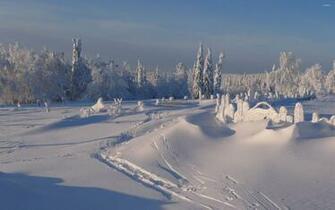 Winter Sunny Day Wallpaper Nature