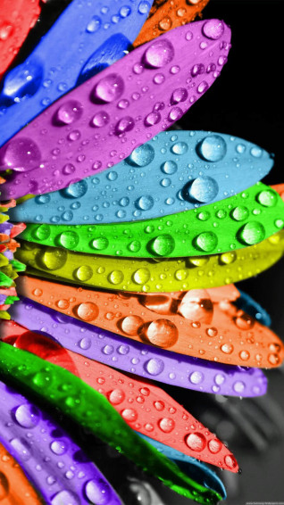 Girly Lock Screen Wallpaper