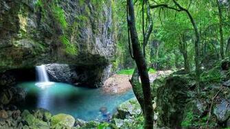 Nature HD Wallpaper Love Taste