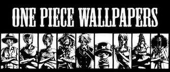 One Piece Wallpaper Logo