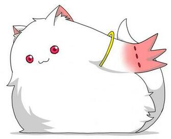 Kyubey Mahou Shoujo Madoka Magica Anime Fat Fluffy HD Wallpaper Of