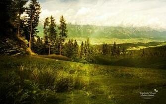 Enchanted Forest By Andreaandrade