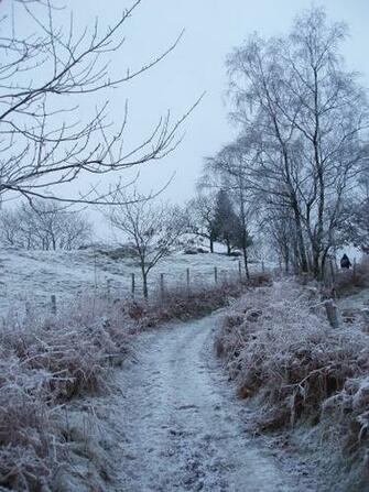 Winter Country Scenes Wallpaper Fantasygallery