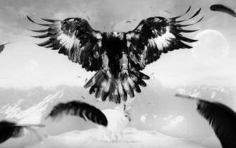 Eagle Hare Art Bird Feathers Mountains Stock Photos Image