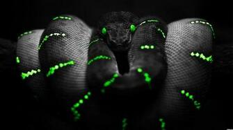 Razer Wallpaper