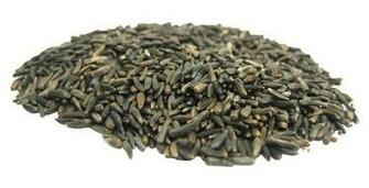 Image Nyjer Thistle Bird Seed Pc Android iPhone And iPad Wallpaper