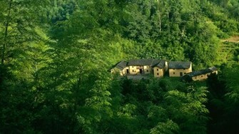 Green Forest Wallpaper Houses