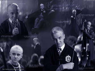 Tom Felton Wallpaper