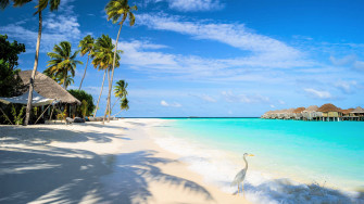 Top White Beach Wallpaper Full HD 4k To Use