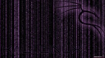 Kali Linux Backtrack Wallpaper Purple V By Zeroxproject On