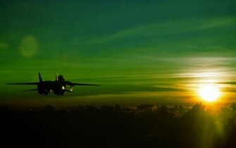 Tomcat HD Wallpaper Pictures