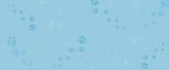 Background Paws Tall Cape Cod Pet Resort